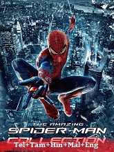 The Amazing Spider-Man Duology  (2012 – 2014)